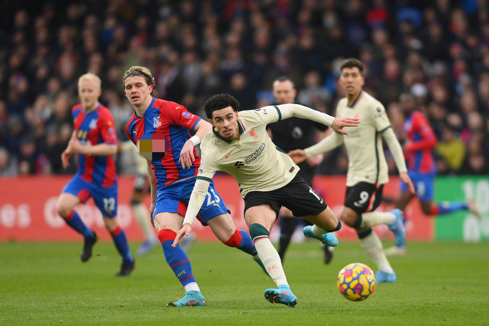 球迷看到一 球迷看到一